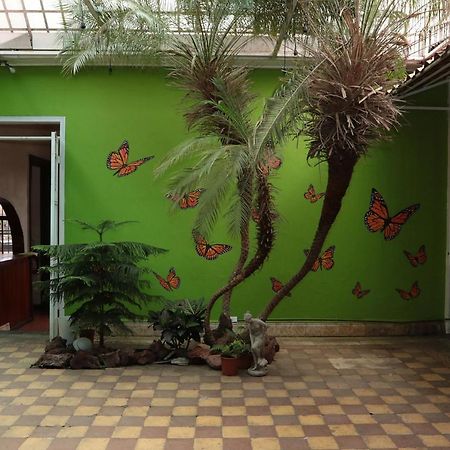 Casa Mayela Guest House San José Eksteriør billede