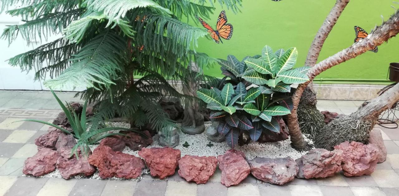 Casa Mayela Guest House San José Eksteriør billede
